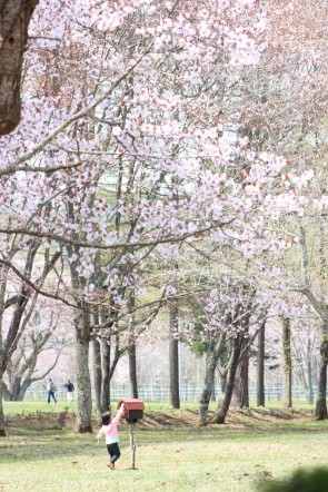 桜の木の下でIMG_6801