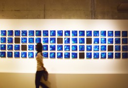 トンネル・ギャラリーに展示されている石垣焼の作品「Ishigaki Blue」を眺める来場者(OIST提供)