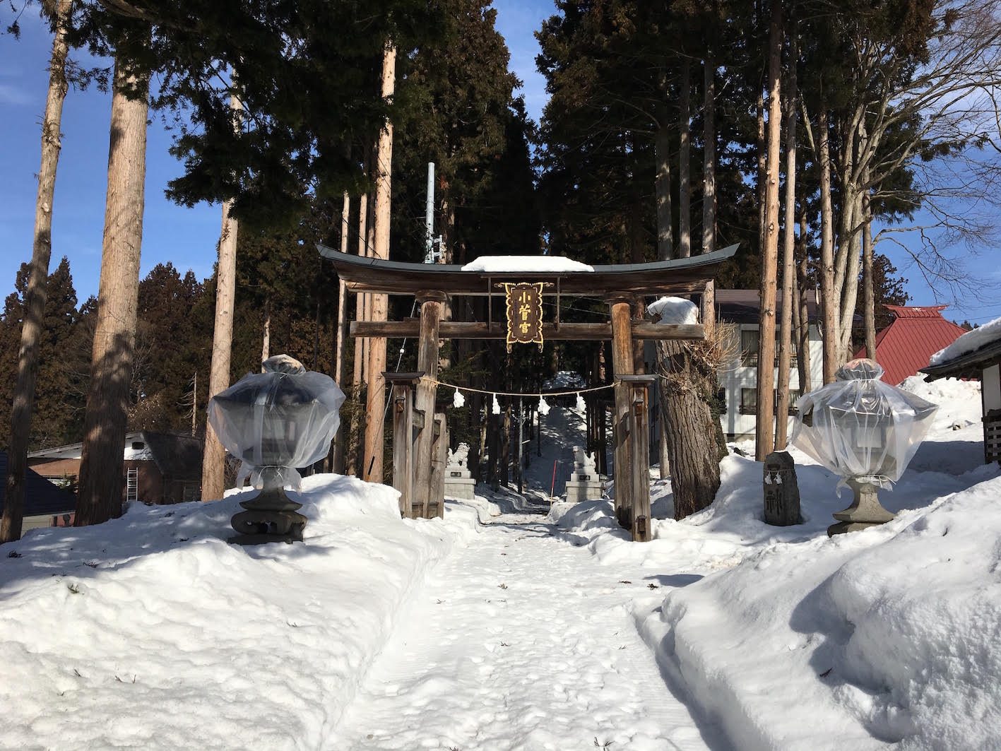 この奥に続く雪に埋もれた参道を進むと小菅神社奥社があります