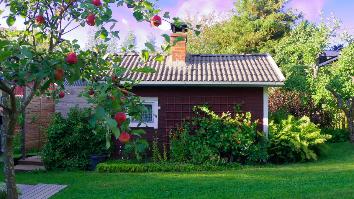 緑豊かな庭に建てられたサウナ小屋