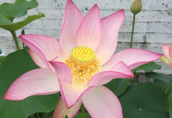 9B7D40FD-4911-4472-B809-6C009ACC7872