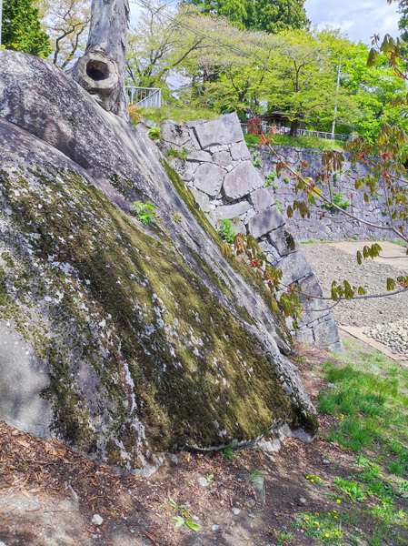 盛岡城趾。奥が通常の石垣。手前は天然の巨岩が露頭したものをそのまま活用しています