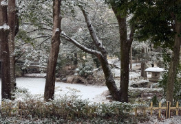 冬期は池の水が抜かれていたが、撮影した日の雪が池底に積もる。
池、雪見灯籠や橋、十三重の石塔や東側の築山を望む