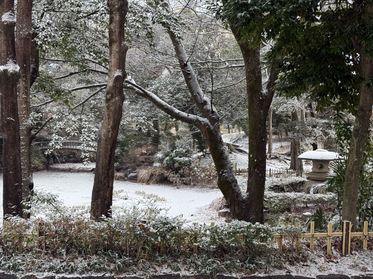 冬期は池の水が抜かれていたが、撮影した日の雪が池底に積もる。 池、雪見灯籠や橋、十三重の石塔や東側の築山を望む