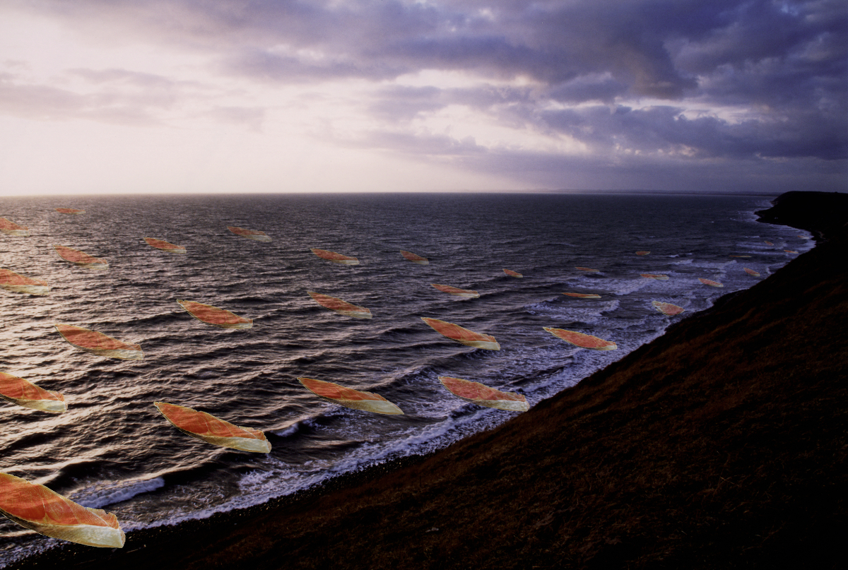 《Sliced Salmon in Baltic Sea》 2002