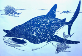 《セイレーンを導くジンベエザメ》
2023
A2
–
平和の象徴としての、悠久の時を生きるジンベエザメをメインに、ギリシア神話に登場する怪物・セイレーンをアクセントとして取り入れた作品。「セイレーンは美しい歌声で船を惑わせ難破させる怪物です。この作品では、ジンベエザメがセイレーンたちの悪事をやめさせるために深海へと導いています」