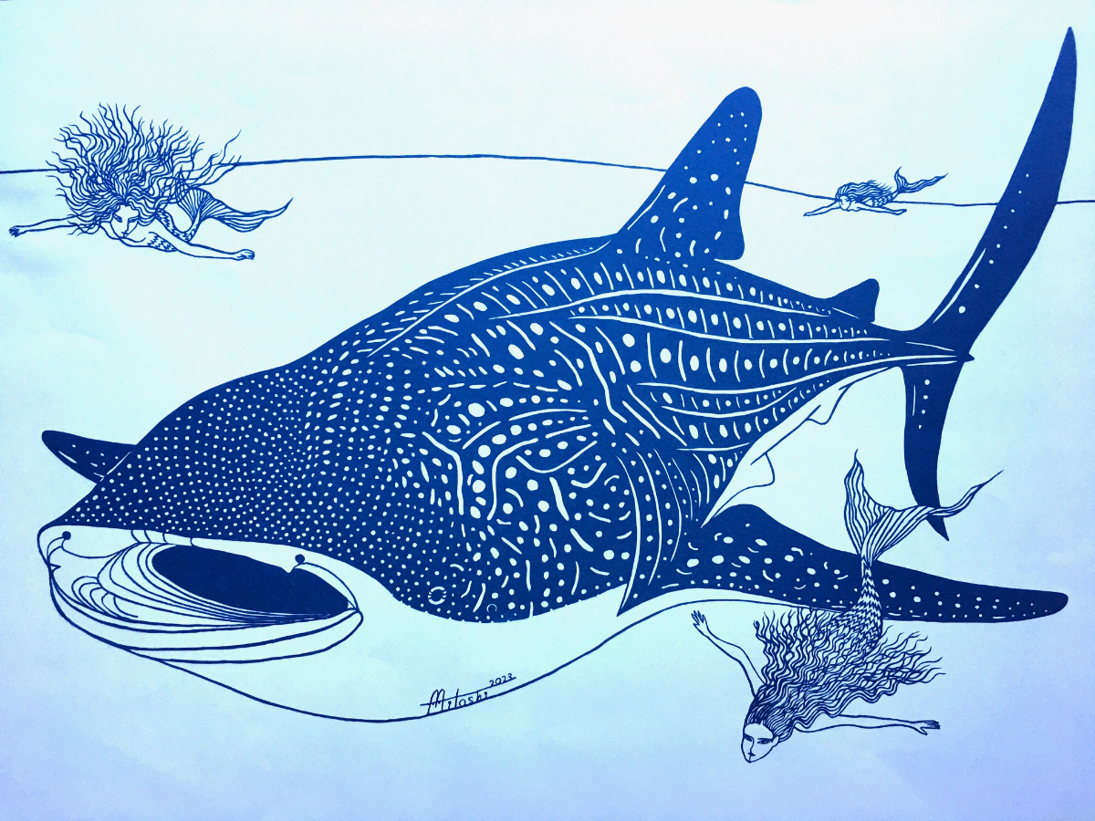 《セイレーンを導くジンベエザメ》 2023 A2 – 平和の象徴としての、悠久の時を生きるジンベエザメをメインに、ギリシア神話に登場する怪物・セイレーンをアクセントとして取り入れた作品。「セイレーンは美しい歌声で船を惑わせ難破させる怪物です。この作品では、ジンベエザメがセイレーンたちの悪事をやめさせるために深海へと導いています」