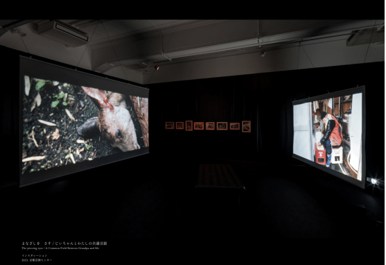 画像１
キャプション
《まなざしを　さす》《じいちゃんとわたしの共通言語》
インスタレーション
2023
京都芸術センター