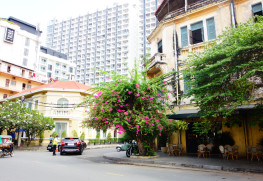 植民地時代の建築物がいまもレストランやショップとして利用されている