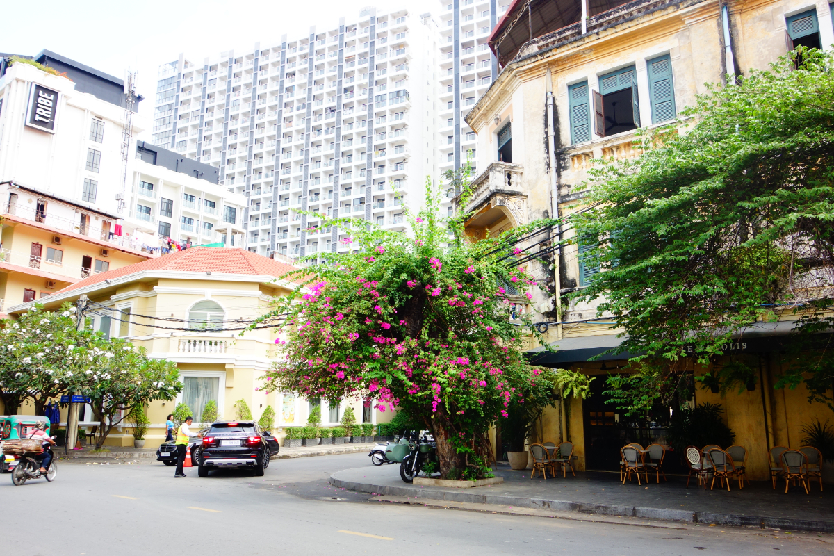 植民地時代の建築物がいまもレストランやショップとして利用されている