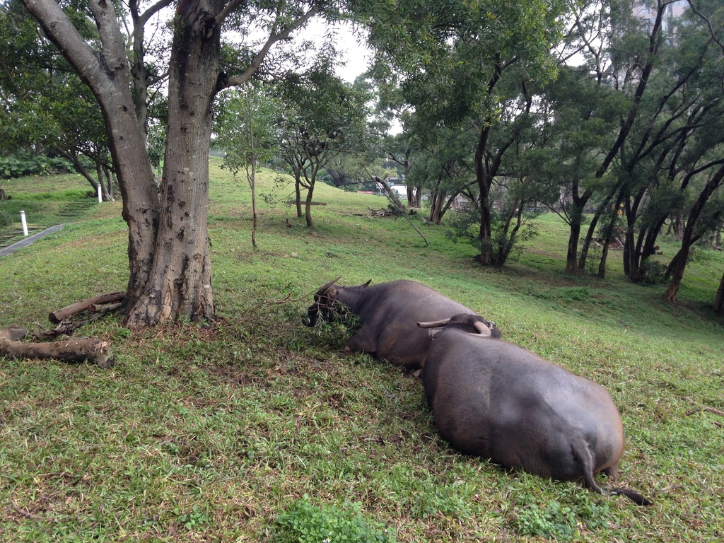 183C6F79-D481-4F83-96DF-F7FD6D9A26A9_1_105_c