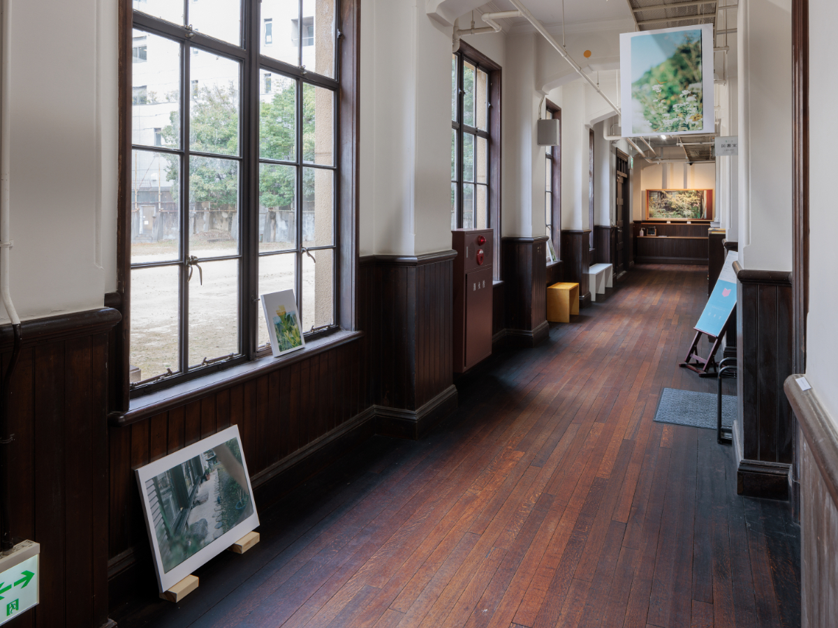 《The Garden》 インスタレーション 2023 京都芸術センター 撮影：麥生田兵吾