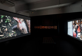 《まなざしを　さす》《じいちゃんとわたしの共通言語》
インスタレーション
2023
京都芸術センター
撮影：麥生田兵吾