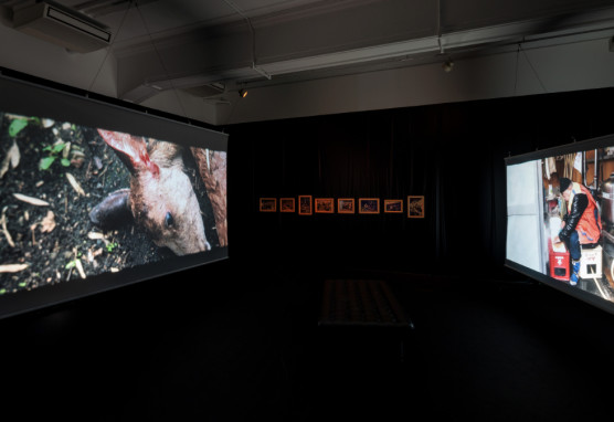 《まなざしを　さす》《じいちゃんとわたしの共通言語》
インスタレーション
2023
京都芸術センター
撮影：麥生田兵吾