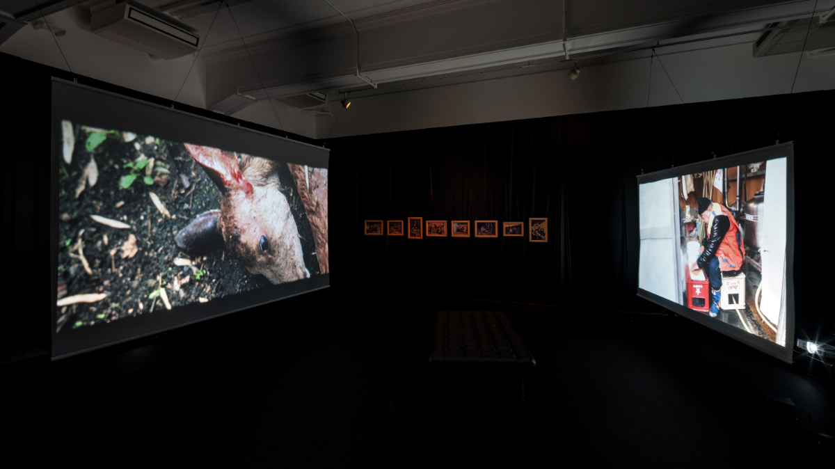 《まなざしを　さす》《じいちゃんとわたしの共通言語》 インスタレーション 2023 京都芸術センター 撮影：麥生田兵吾