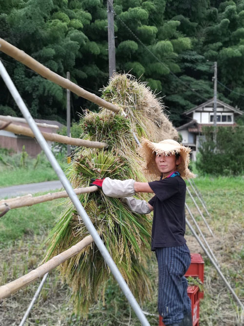 「暮々山商店」こしのみちこさん
