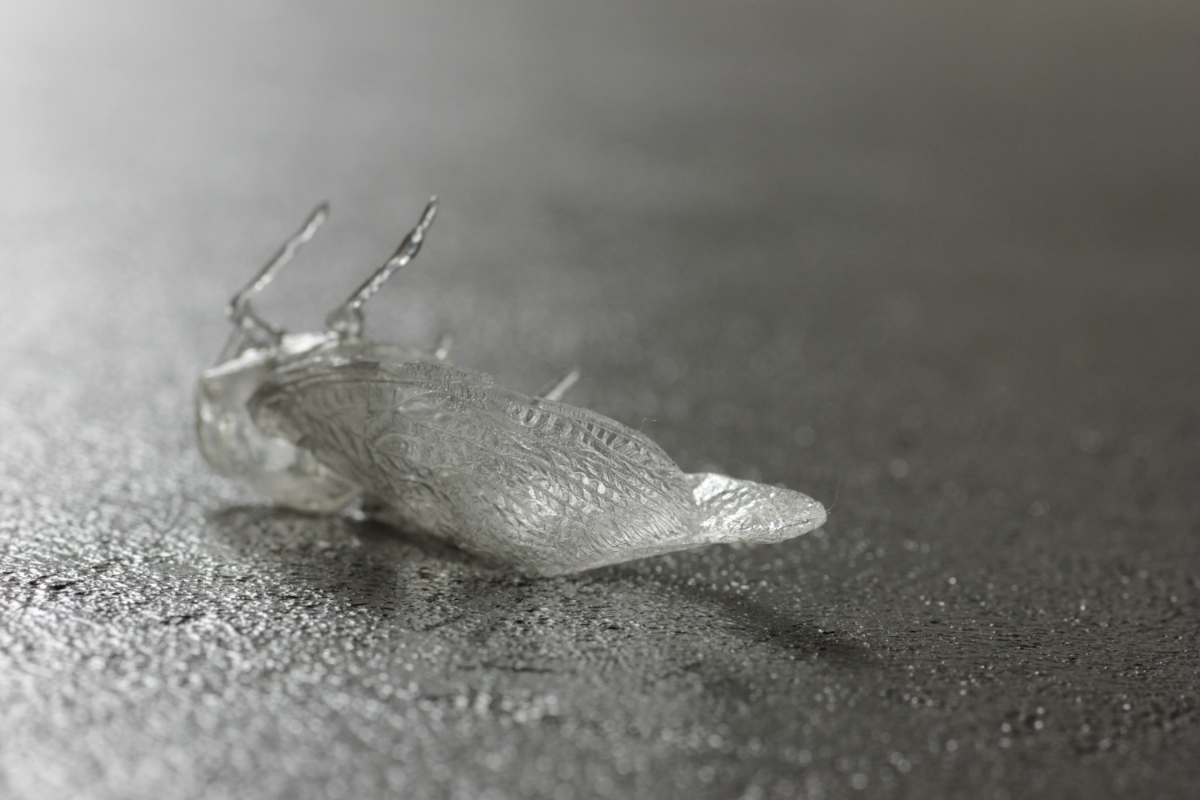 《いのちの在り処》 寒天、瞬間接着剤 2014 京都造形芸術大学（現：京都芸術大学）