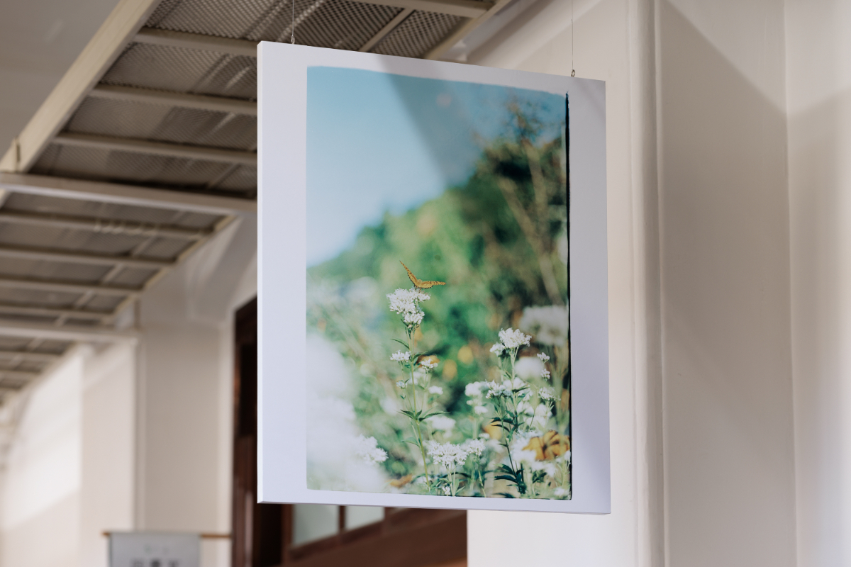 《The Garden》 Cプリント, 570×470mm 2022 京都芸術センター 撮影：麥生田兵吾