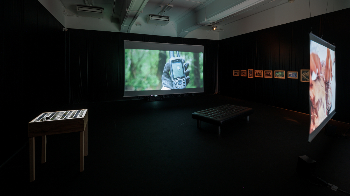 《まなざしを　さす》《じいちゃんとわたしの共通言語》 インスタレーション 2023 京都芸術センター 撮影：麥生田兵吾