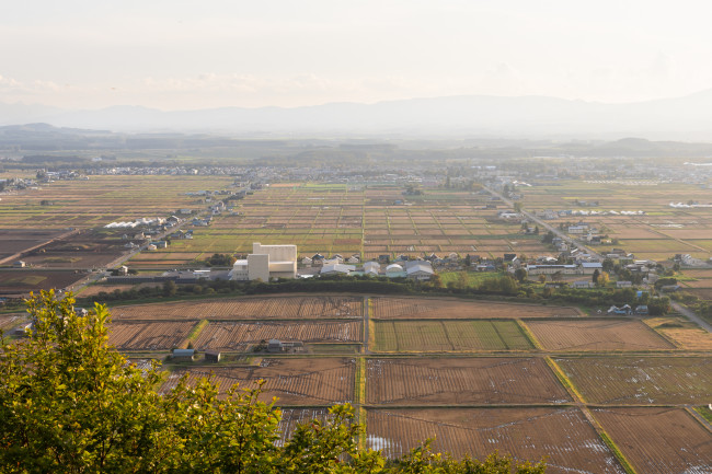 東川は広大な上川盆地にあり、水田が一面に広がっている。被写体となるこの美しい田園風景が続くことも、写真の町に暮らす人や訪れる人にとって大切なことだ（提供：東川町）