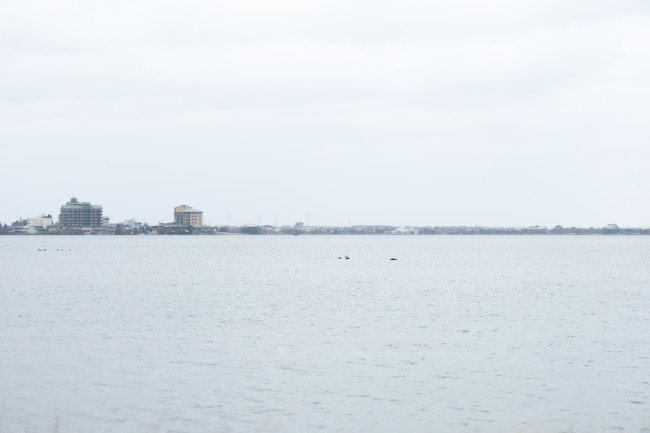02_day2-115-0384