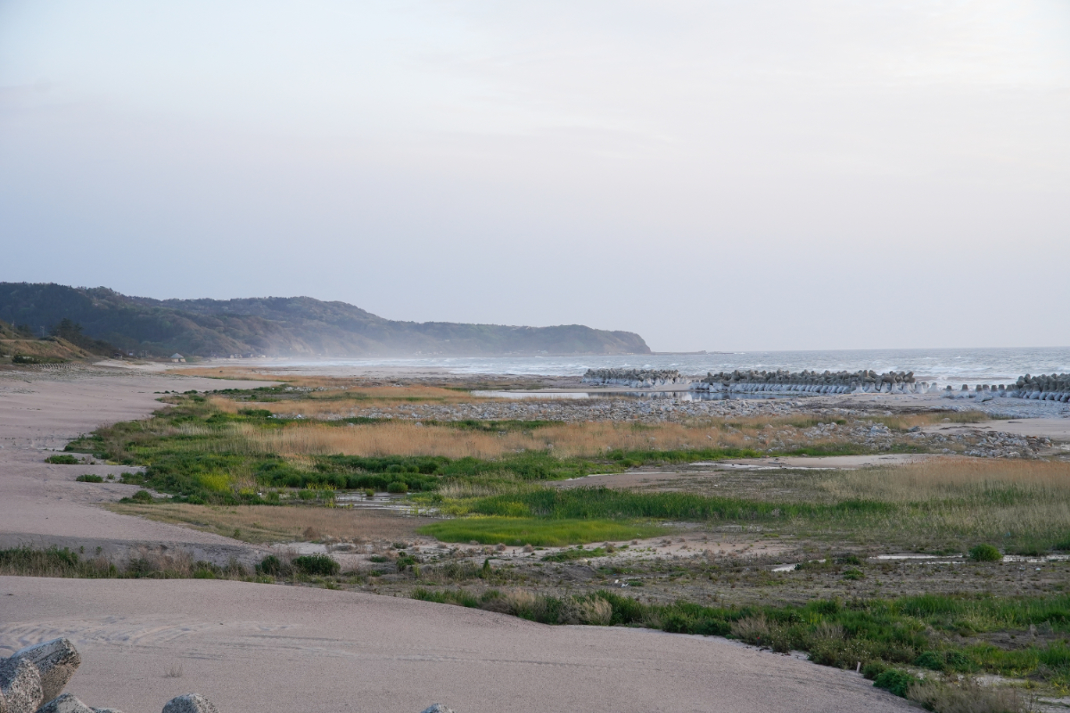 DSC01582