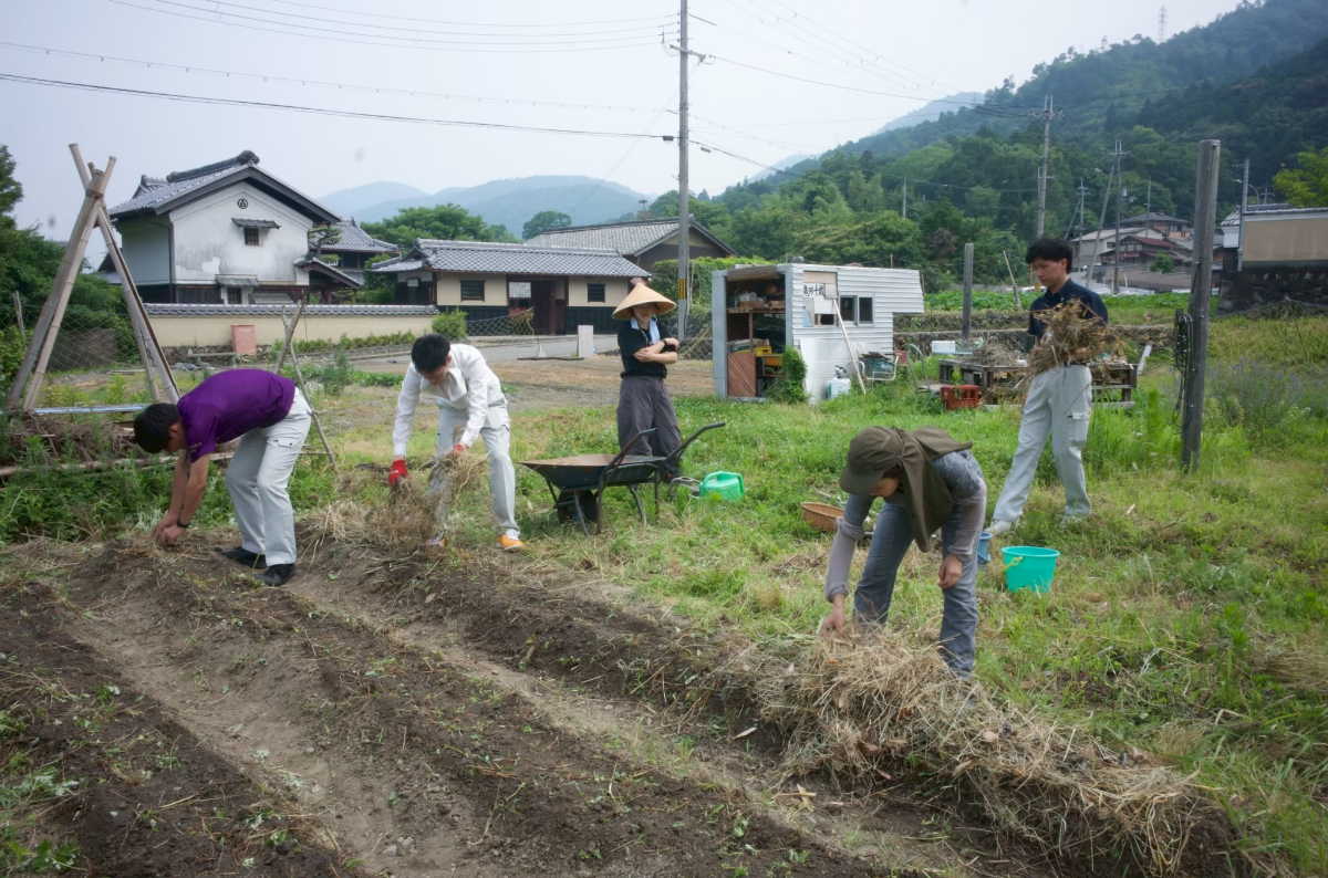 「KIRI FARM」 土の上で手を動かすことを共にしながら、 自然とひとのつながりが育まれる場所。2025年度は約30回 、延べ約150人以上が参加 。不耕起栽培を主軸に、畝立てや土づくり、種まき、苗づくりなどを始め、15種類以上の野菜と、 10種類以上のハーブを育てる