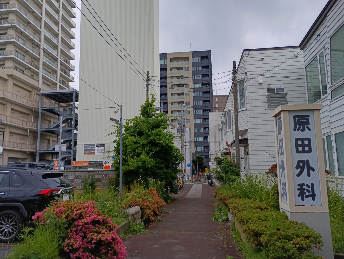 行啓通りへ抜ける道
