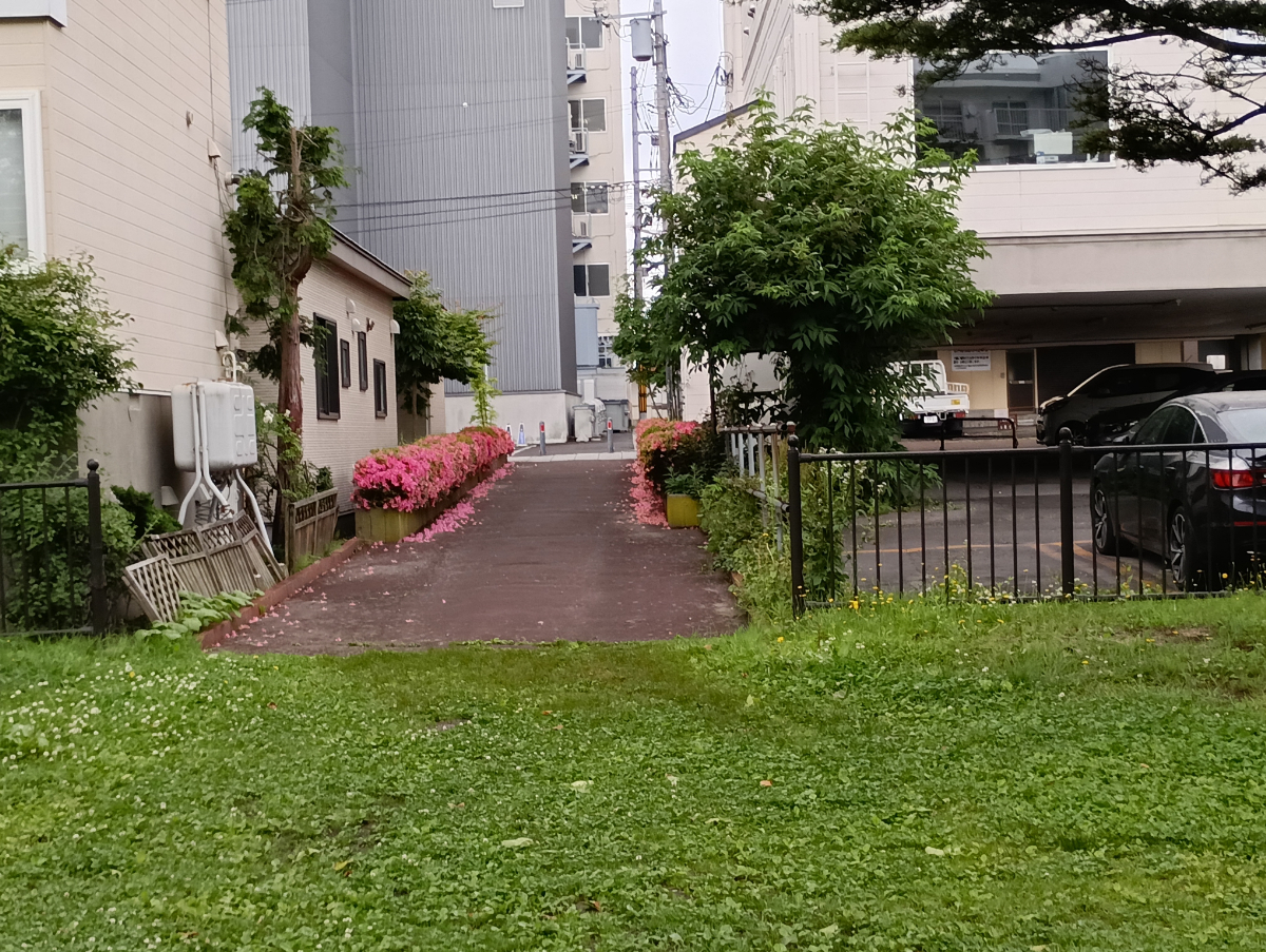五稜郭電停に向かう道